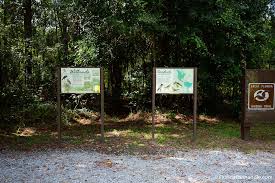 bayou marcus birding trail near pensacola