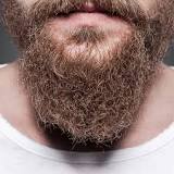 whats-good-for-dry-beard