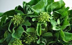 What part of Chinese broccoli is edible?