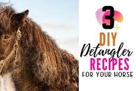 3 easy diy horse detangler recipes