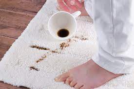 remove coffee stains from carpet fast