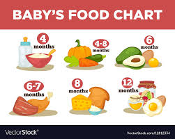Healthy Food For Babies In Different Age
