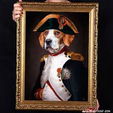 15 августа 1769, аяччо, корсика — 5 мая 1821, лонгвуд, остров святой елены) — император. Hundeportrait Beagle Als Napoleon Bonaparte Hund In Kleidung