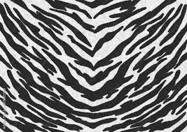 the black white tiger stripes fur