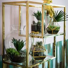 succulent and cactus displays ideal home
