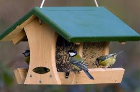 une mangeoire en bois pour oiseaux