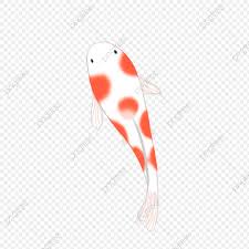Red Spotted Squid Carp Fish Squid Chart Traditional Chinese