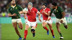 South africa are the best team in the world right now (getty images) Wales Can Be The Best Rugby Team In The World Says Bristol Bears Pat Lam Bbc Sport