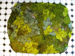 make a moss bath mat