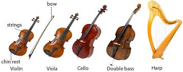 Music pictures for classroom and therapy use. Classifications Of Western Musical Instruments Classhall Com