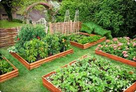 Vegetable Garden Ideas Decorative