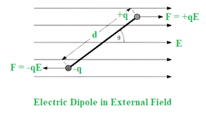 Torque on an Electric Dipole in Uniform Electric Field - GeeksforGeeks