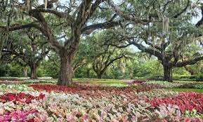 brookgreen gardens groupon