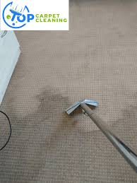 top carpet cleaning london tccl
