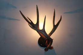 Custom Antler Wall Sconces Made From
