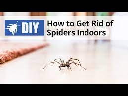 How To Get Rid Of Spiders Indoors
