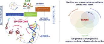 nutrigenetics and nutri epi genomics