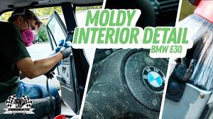 how to remove mildew and mold from a car