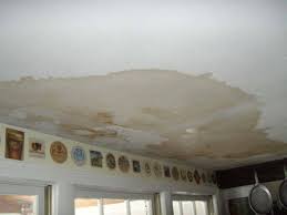 Roof Leak Repair Ceilings