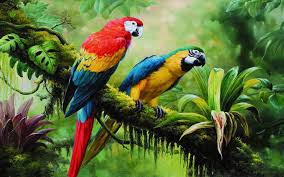 macaw parrot wild birds from jungle