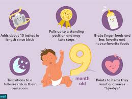 9 month old baby milestones and
