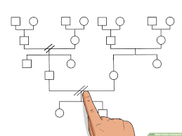 How To Make A Genogram 14 Steps With Pictures Wikihow