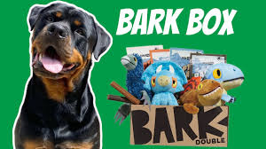 unboxing a bark box with my rottweiler