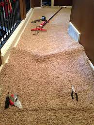 nelson carpet cleaning reviews