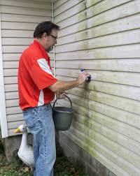 how to clean vinyl siding like a pro