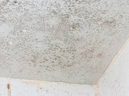Mould From Your Ensuite Ceiling
