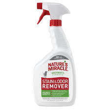 dog stain and odor remover