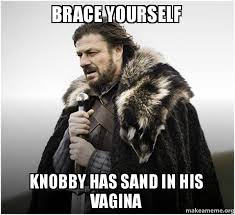 Brace yourself Knobby has sand in his vagina - Brace Yourself ... via Relatably.com
