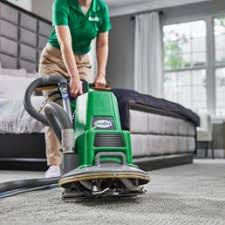 carpet cleaning near annandale mn