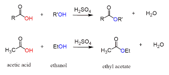 fischer esterification chemistry steps