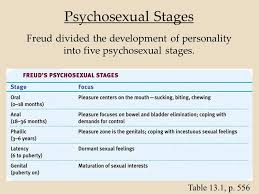 Freud Psychosexual Stages Of Development Custom Paper Sample