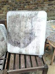 clean mildew off outdoor furniture cushions
