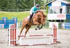 what-is-it-called-when-horses-jump-over-fences