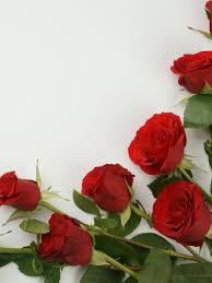 the symbolism and meaning of red roses