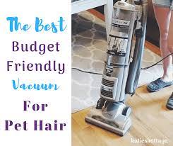 Budget Friendly Vacuum For Pet Hair