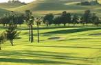 Palm at Sunol Valley Golf Course in Sunol, California, USA | GolfPass
