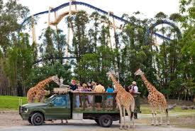 florida residents get free safari tour