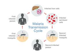 It has killed more people than all the wars, has greatly influenced our history and geography and has changed many of. New Diagnostic Test For Malaria Uses Spit Not Blood