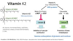 Vitamin K2 Plays Key Role In Bone Health American Bone Health