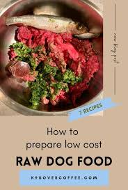 how to prepare low cost raw dog food