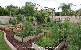 Raised Bed Garden Design Tips Growing