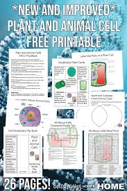 plant and cell worksheets and