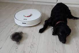 The 6 Best Robot Vacuums For Pet Hair