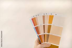 Ral Sample Colors Catalogue On A Beige