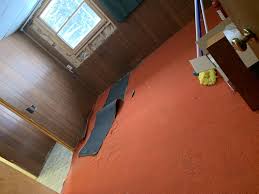 carpet padding guide to asbestos mold