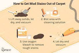 get mud stains out of carpet and upholstery